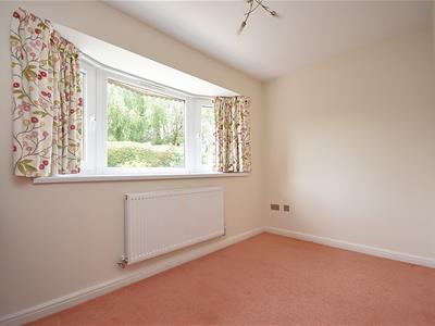 Picture 13